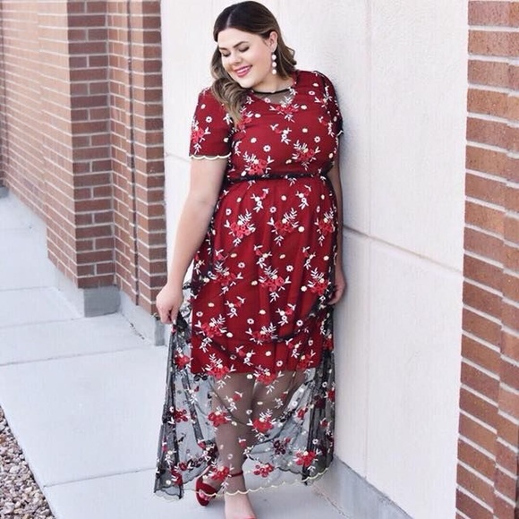 BNWT Lularoe DeAnne II - Picture 5 of 6